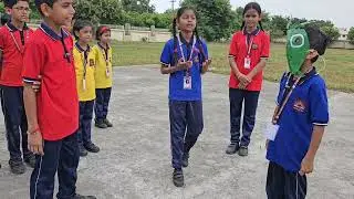 NCERT CLASS 4TH TWAU Best Activity for Nature Trails
