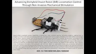 Advancing Biohybrid Insect Robot Locomotion Control Through Non-Invasive Mechanical Stimulation