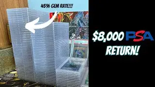 45% GEM RATE!! | I waited 1 month for this 100 Card PSA Return! 🔥