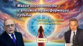 МАГИЯ ОСОЗНАННОСТИ И АЛХИМИЯ ТРАНСФОРМАЦИИ СУДЬБЫ • Беседа А. Зараева с А. Бобылевым - часть 3