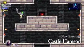 Moopoint Plays Rogue Legacy