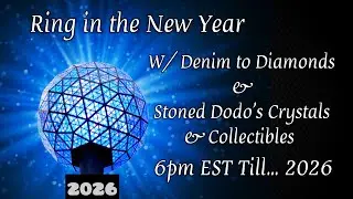 ✨D2D 5th Annual NYE Gala✨🥂Ringing in 2026🥂 Wed. Dec. 31st 6pm EST