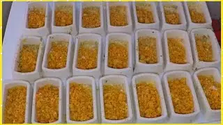 Yapımı Kolay 100 DE 1 Milyon Garantili Kuşlar İçin Mama Tarifi 👍👍👍