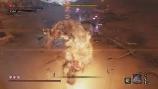 Inner Father (Owl) [NO DAMAGE NG+++++] Sekiro: Shadows Die Twice
