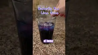 💙 Magical Color-Changing Tea! | Butterfly Pea Flower Review & Recipe ✨🌿 #tea