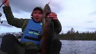 Storfisk p&aring; Gjevsj&oslash;en - Sn&aring;sa