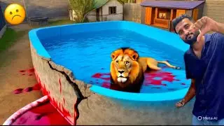 Turaab par lion na attack kar diya mini zoo Ka pool mein, Turaab neck legs and hand✋ ✋ injured, lion