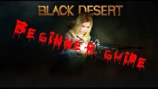 Black Desert Beginner guide
