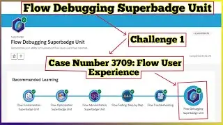 Case 3709 Flow User Experience | Flow Debugging Superbadge Unit | Challenge 1