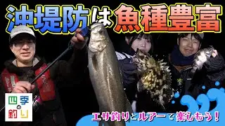 沖堤防は魚種豊富　エサ釣りとルアーで楽しもう！（四季の釣り/2024年4月19日放送）