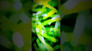 Nature Videos 30 Seconds | BackgroundVideo Nature | #nature #video #4k #shorts #trending #viral