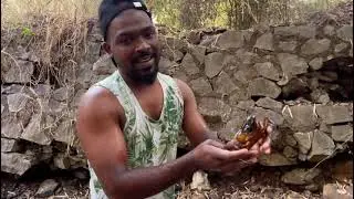 आदू आणि दुगु ला घेऊन गेलो जंगलात खेकडे 🦀 पकडायला, crab catching ✌️