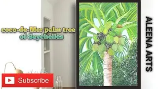 Coco-de-Mer palm tree / coconut tree art / palm trees of tropical seychelles #فن #palmtrees #سيشيل
