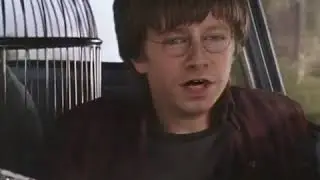 More Harry Potter #reface