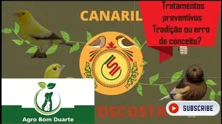 Tratamentos preventivos - Tradição ou erro de conceito?