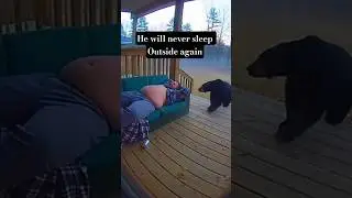 A collection of curious bear and shocking reaction of man. #fyp #subscribe #funny #foryou