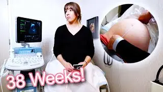 We're Cleared To Have An Induction at 39 Weeks! - 38 Week Pregnancy Ultrasound