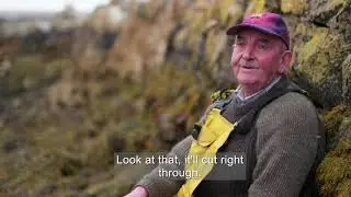 Arramara traditional harvest