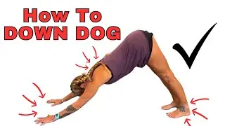 How to Down Dog   Yoga Pose Alignment Tips