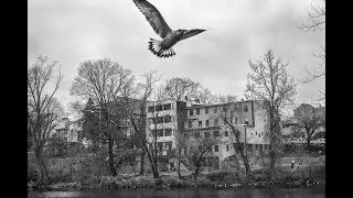 Todd R. Darling: Photographing Paterson