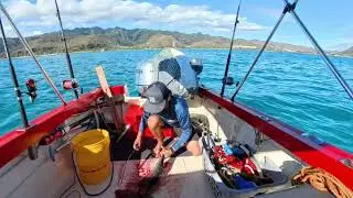 Hawaii Tuna Fishing! Catch Clean and Cook! Smoked Ahi Dip!