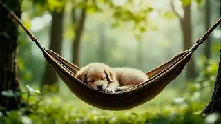 Relaxing Pet Music - Night Comfort for a Peaceful Home Environment