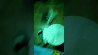 mi tanbor nuevo