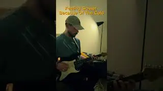 Day 24 of Learning Snow Hey Oh - Red Hot Chili Peppers  #guitar #stratocaster #indiemusic #music