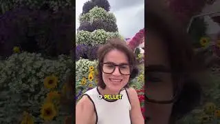 EXCLUSIVO: PELLET na MENOPAUSA - Estudo BRASILEIRO Surpreende o Mundo! VEJA AGORA