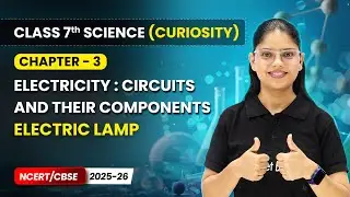 Electric lamp - Electricity: Circuits and their Components | Ch 3 | Class 7 Science Curiosity | CBSE