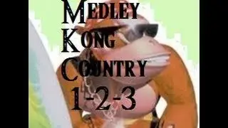 Donkey Kong Country 1-2-3 Medley (DKC tribute)