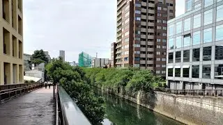 Tokyo Walk - Meguro River - From Meguro to Naka-Meguro - 4K 60 FPS - Slow TV