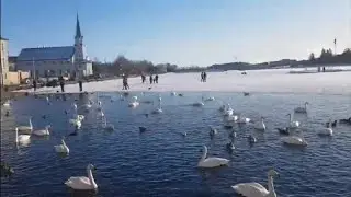 Beautiful day to walk at Tj&ouml;rnin and see the City Hall in Reykjavik Iceland