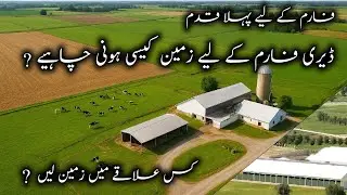 Dairy Farming ke liye Zameen Kaisi Honi Chahiye? | Rent Ya Apni Land?