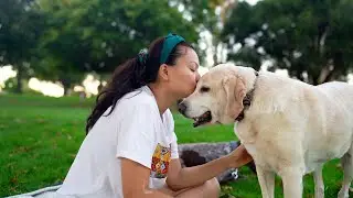A Dog's Joyous Golden Years: A Senior Dog's Mountain Biking Retirement, Surrounded by Love