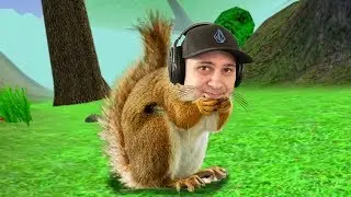 I'm a squirrel... | Squirrel Simulator