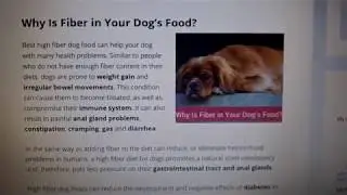 Top 5 High Fiber Dog Food Reviews and Buyers Guide