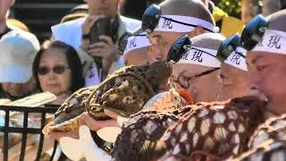 Daishoin fall festival Miyajima 2019 Nov 15