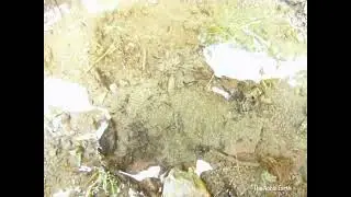 &ldquo;Allah&rsquo;s Marvel: Water Rising from the Ground&rdquo;🍃🌄#nature #naturelovers #naturevideo #beautiful