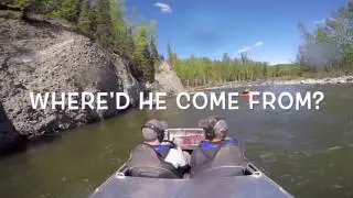 Mini Jet On Willow Creek
