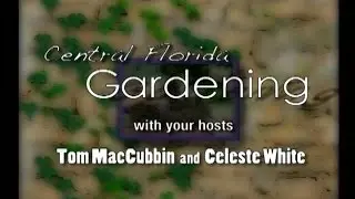 Self Watering Containers - UF/IFAS Extension Orange County