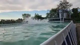 Dock Diving at Fremont Dog Lodge