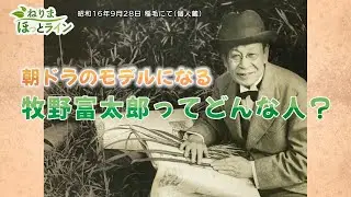 ねりまほっとライン（朝ドラのモデルになる”牧野 富太郎”ってどんな人？）令和４年６月後半号