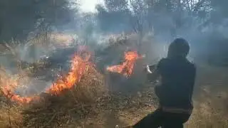 Veld fire breaks out near NBC headquarters