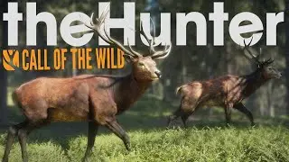 THE HUNTER CALL OF THE WILD GAMEPLAY #8