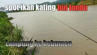 Mancing Ikan keting di kebumen ll ga nyangka ketingnya babon-babon.