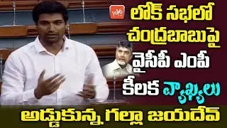 TDP MP Galla Jayadev Interupts YCP MP Lavu Sri Krishnadevaraya Speech In Lok Sabha | YOYO TV Channel