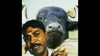 GP Muthu Paper id comedy series #gpmuthu #comedy #gpmuthulettercomedy #tiktok #paperid #trending
