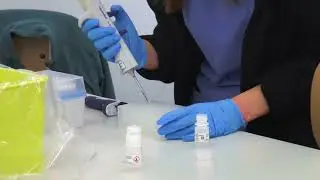 Caso Pietracatella, vertice in Procura. Sangue al centro antiviolenza di Pavia - 02/01/2026