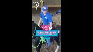 Quick Tips To Gain Confidence With Your Horse!  | The Horse Guru-Michael Gascon